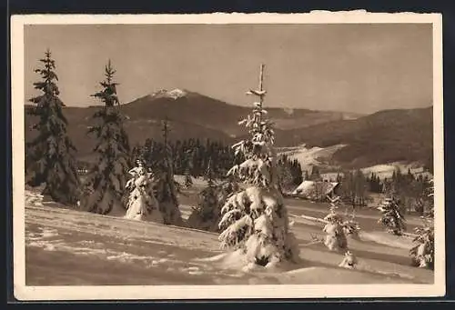 AK Bayrischer Wald im Winter, Ganzsache WHW Winterhilfswerk 1934 /35