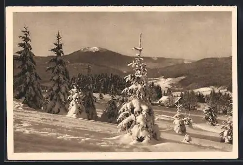 AK Bayrischer Wald, Ganzsache WHW Winterhilfswerk 1934 /35