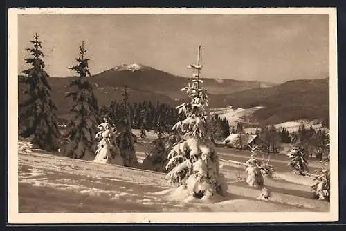 AK Bayrischer Wald im Schnee, Ganzsache WHW Winterhilfswerk 1934 /35