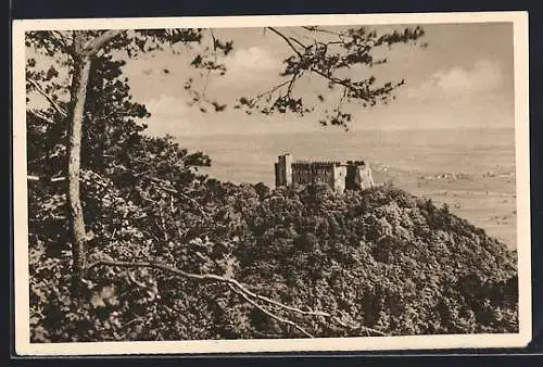 AK Neustadt a. Hdt., Hambacher Schloss, Ganzsache WHW Winterhilfswerk 1934 /35