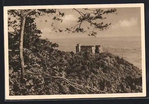 AK Neustadt a. Hdt., Das Hambacher Schloss, Ganzsache WHW Winterhilfswerk 1934 /35