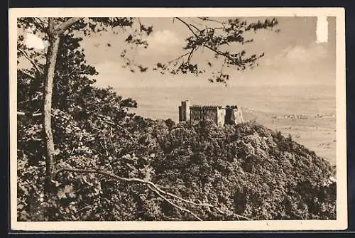 AK Neustadt a. Hdt., Das historische Hambacher Schloss, Ganzsache WHW Winterhilfswerk 1934 /35