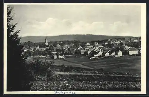 AK Lehesten / Thür. Wald, Blick zum Ort