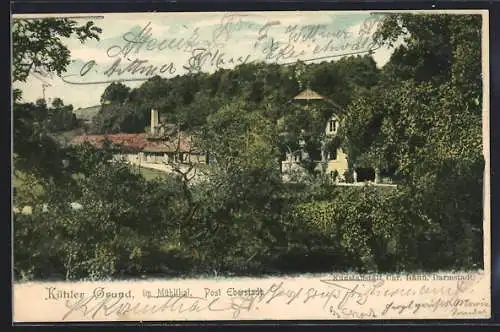 AK Eberstadt / Bergstr., Kühler Grund im Mühlthal