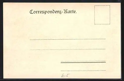 Lithographie Mayrhofen, Totalansicht aus der Vogelschau