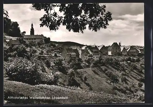 AK Löwenstein / Württ., Teilansicht mit Kirche