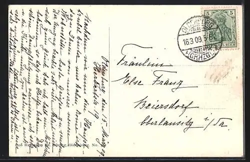 AK Oldenburg / O., Strassenpartie an der Haare