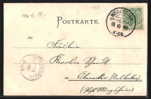 AK Brotenau / Gernsbach, Ortspartie mit Kühen