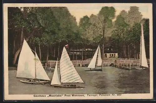 AK Berlin-Wannsee, Gasthaus Moorlake und Segelboote