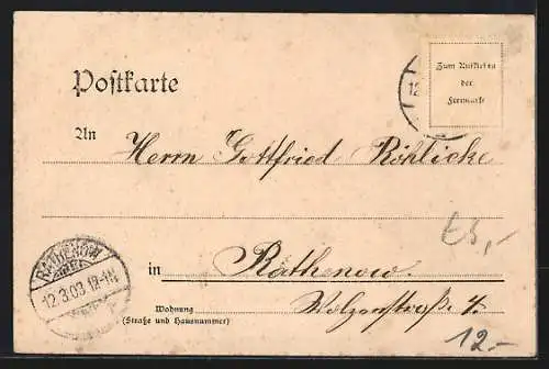 AK Berlin, Reichstagsgebäude und Siegessäule aus der Vogelschau