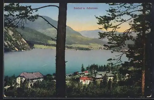 AK Seehof a. Achensee, Ortspartie mit Bäumen