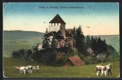 AK Stein a. Rh., Ansicht vom Schloss Hohenklingen