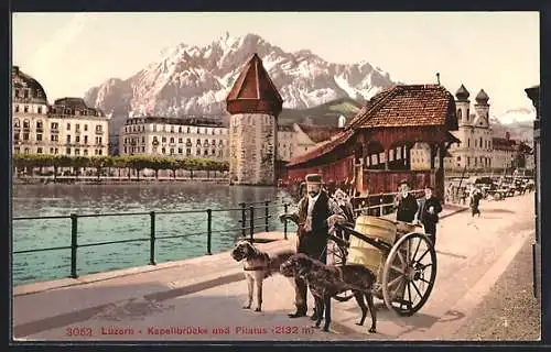 AK Luzern, Hundegespann an der Kapellbrücke und Blick zum Pilatus