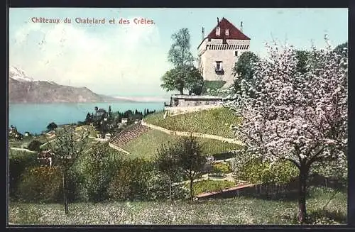 AK Montreux, Châteaux du Chatelard et des Crêtes