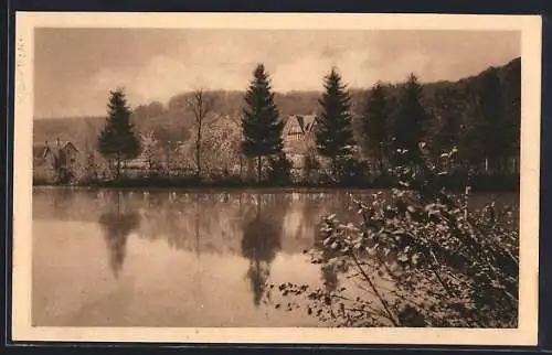 AK Nienburg / Weser, Blick zum Oyler Berg, Pension und Waldwirtschaft