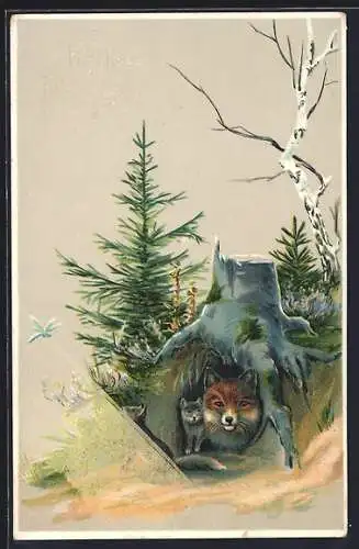 Lithographie Fuchs schaut aus seinem Bau heraus