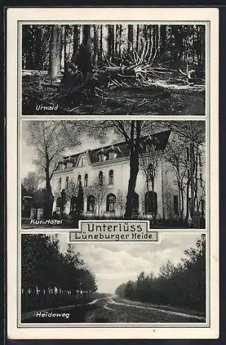 AK Unterlüss, Kur-Hotel von B. Brauckmann, Urwald, Heideweg