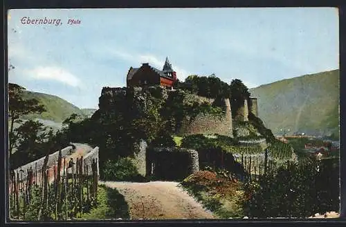 AK Ebernburg in der Pfalz