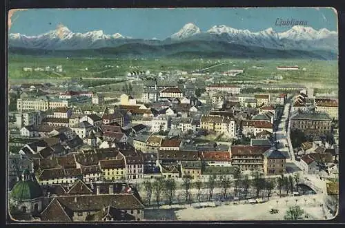 AK Ljubljana / Laibach, Blick über die Dächer der Stadt