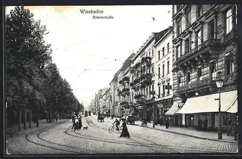 AK Wiesbaden, Rheinstrasse mit Passanten und Hund