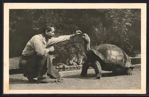 AK Wien-Schönbrunn, Menagerie, Elephantenschildkröte von den Galapagosinseln mit Tierwärter