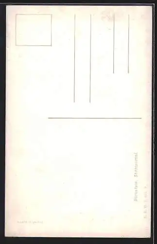 Künstler-AK E.F. Hofecker: Dürnstein, Stiftsportal