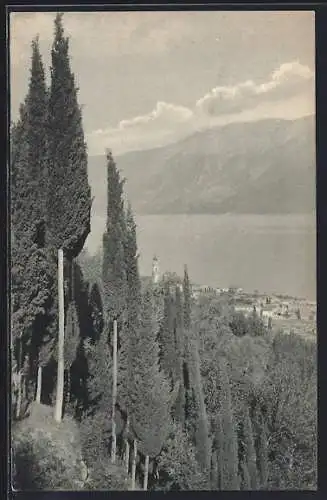 AK Gargnano, Blick auf den Gardasee