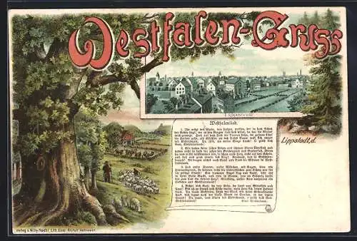Lithographie Lippstadt, Panorama & Westfalen Gruss