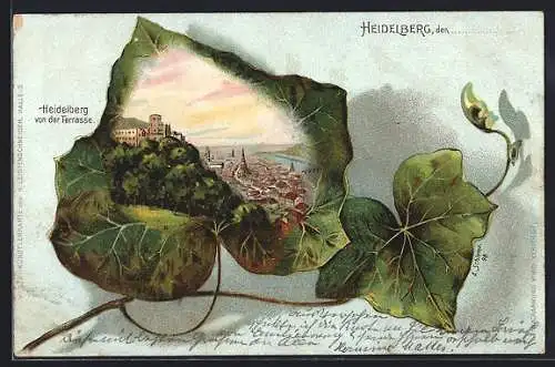 Passepartout-Lithographie Heidelberg / Neckar, Ortsansicht von der Terrasse im Efeublatt