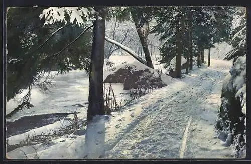 AK Photochromie NR. 1785: Verschneiter Waldweg neben dem Bach, Winteransicht