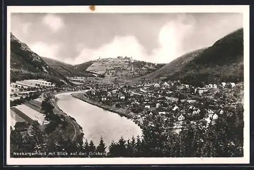 AK Neckargemünd, Panorama mit Blick auf den Dilsberg