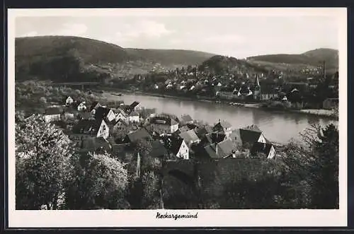 AK Neckargemünd, Totalansicht