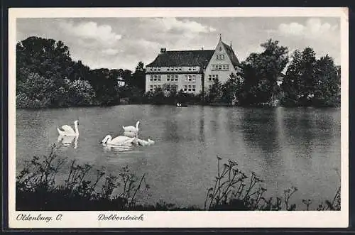 AK Oldenburg / O., Partie am Dobbenteich mit Schwänen