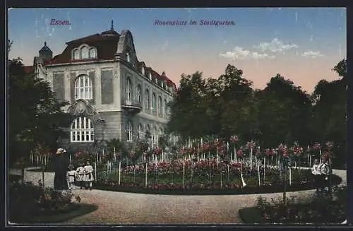 AK Essen, Rosenplatz im Stadtgarten
