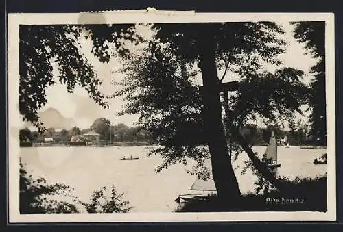 AK Wien, Motiv an der alten Donau, Segelboote