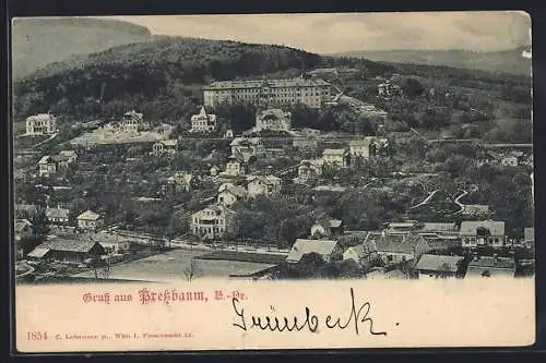 AK Pressbaum, Pensionat Sacre-Coeur, Blick über den Ort aus der Vogelperspektive