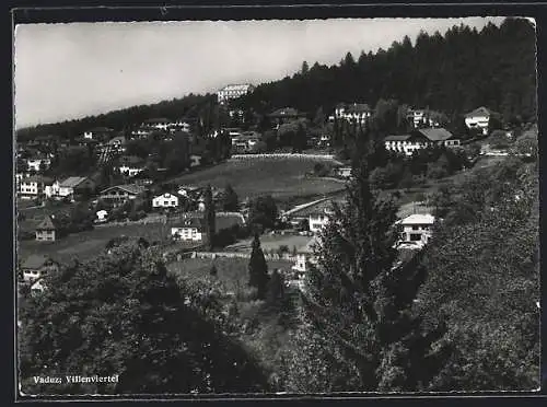 AK Vaduz, Fliegeraufnahme vom Villenviertel