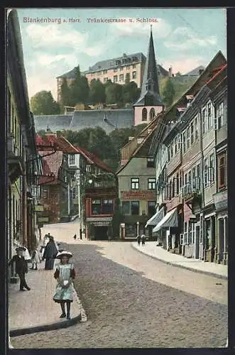 AK Blankenburg / Harz, Tränkestrasse und Schloss