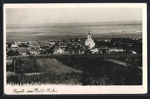 AK Oggau am Neusiedlersee, Teilansicht mit Kirche