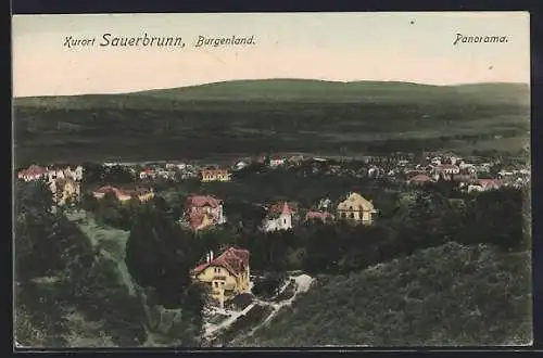 AK Sauerbrunn /Burgenland, Panorama