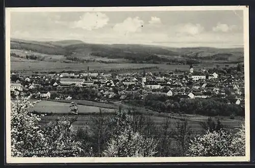 AK Pinkafeld /Steiermark, Teilansicht mit Kirche