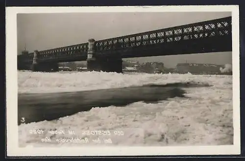 AK Wien, Der Eisstoss 1929, Bei der Reichsbrücke