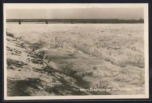 AK Wien, Eisstoss bei der Reichsbrücke