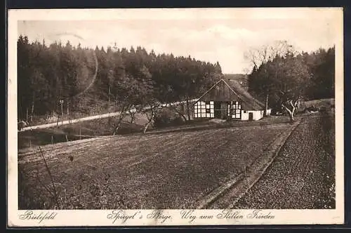 AK Bielefeld, Spiegel`s Berge, Weg zum Stillen Frieden