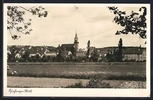 AK Güglingen /Württ., Ortsansicht mit der Kirche