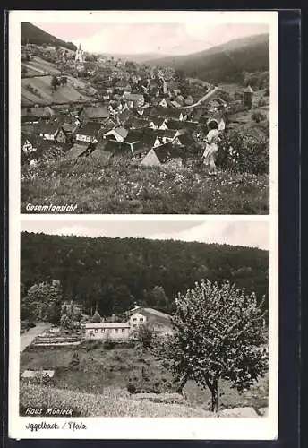 AK Iggelbach /Pfalz, Das Haus Mühleck, Gesamtansicht