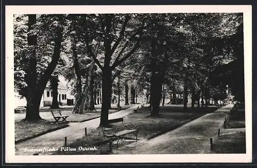 AK Pöllau /Oststmk., Strassenpartie mit Parkbänken