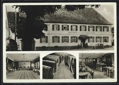 AK Edesheim / Pfalz, Gasthaus zum goldenen Engel, Bes. E. Reinig, Weinkeller, Aussenansicht und Saal