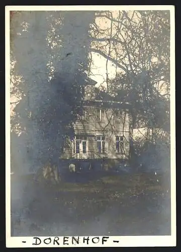 Foto-AK Hamburg-Rotherbaum, Villa Dorenhof, Muttelweg 185, Ansicht im Garten