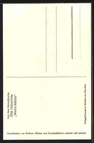 Künstler-AK Otto Ubbelohde: Der Wasserfall